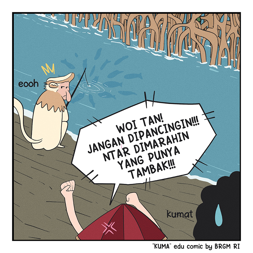 Image 1 - 17